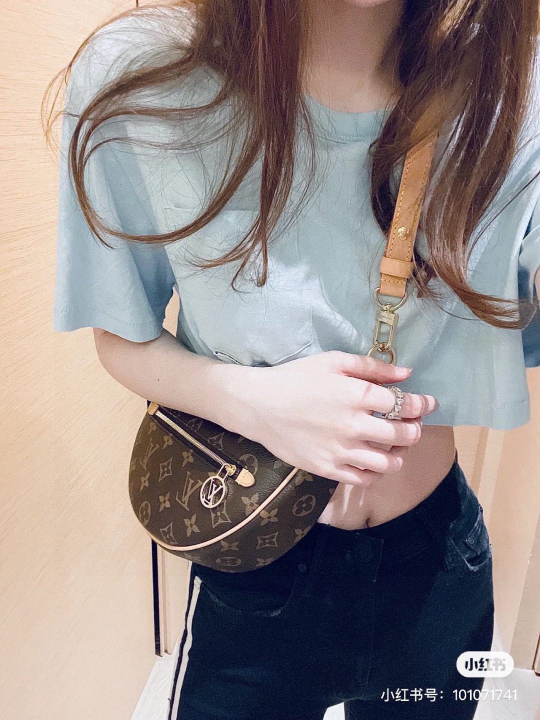 Louis Vuitton LV Luxury Designer Handbag | Luxury Designer Fashion Accessory